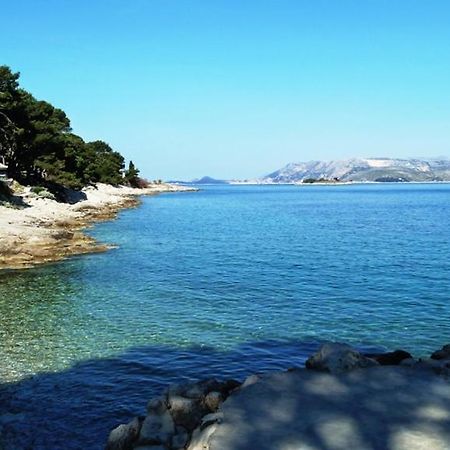 Nice Apartment & Room In Cavtat Dış mekan fotoğraf
