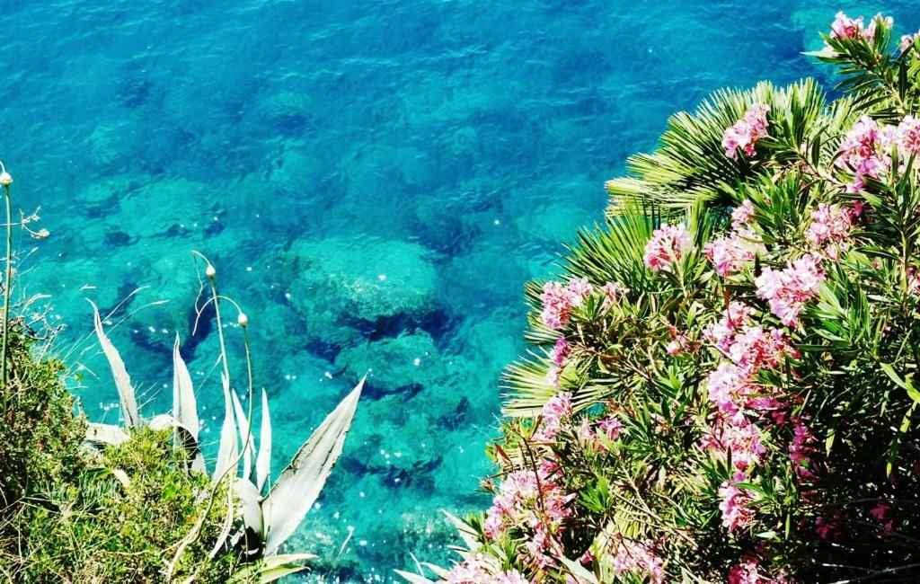 Nice Apartment & Room In Cavtat Dış mekan fotoğraf
