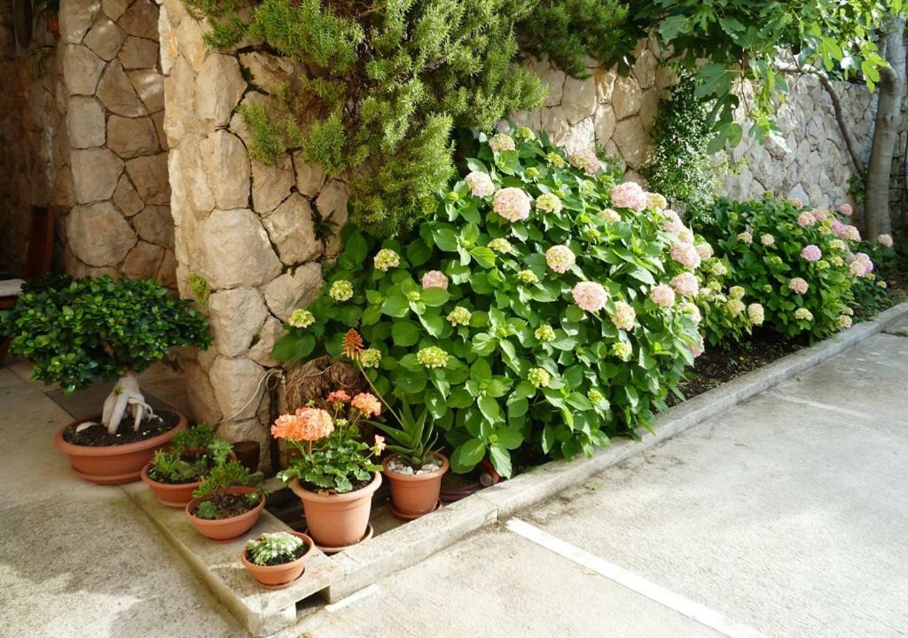 Nice Apartment & Room In Cavtat Dış mekan fotoğraf